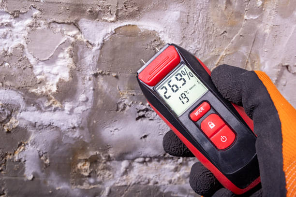 Best Residential Mold Removal  in Maryland Heights, MO